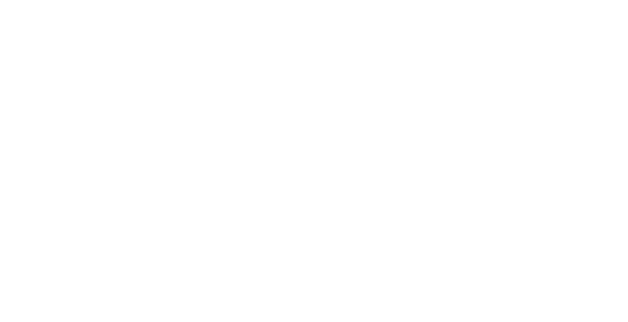 SEAM ALLIANCE Inc.